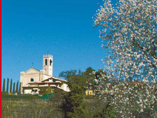 Primavera a Bornato